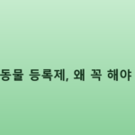 반려동물 등록제, 왜 꼭 해야 할까