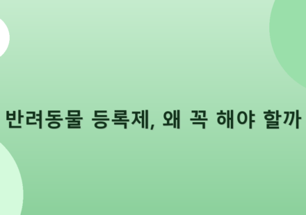 반려동물 등록제, 왜 꼭 해야 할까