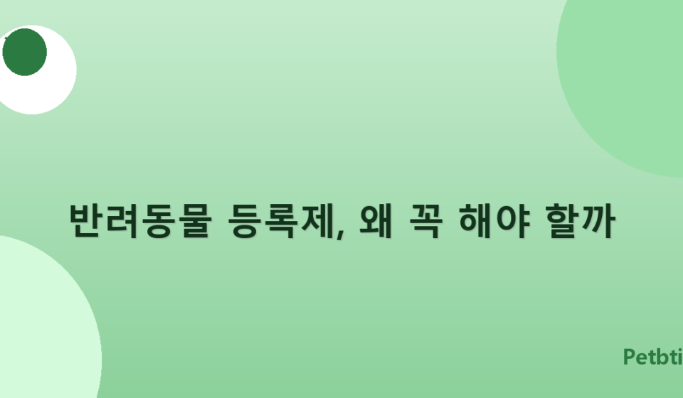 반려동물 등록제, 왜 꼭 해야 할까