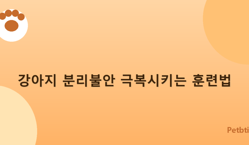 강아지 분리불안 극복시키는 훈련법