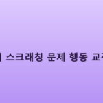 고양이 스크래칭 문제 행동 교정하기