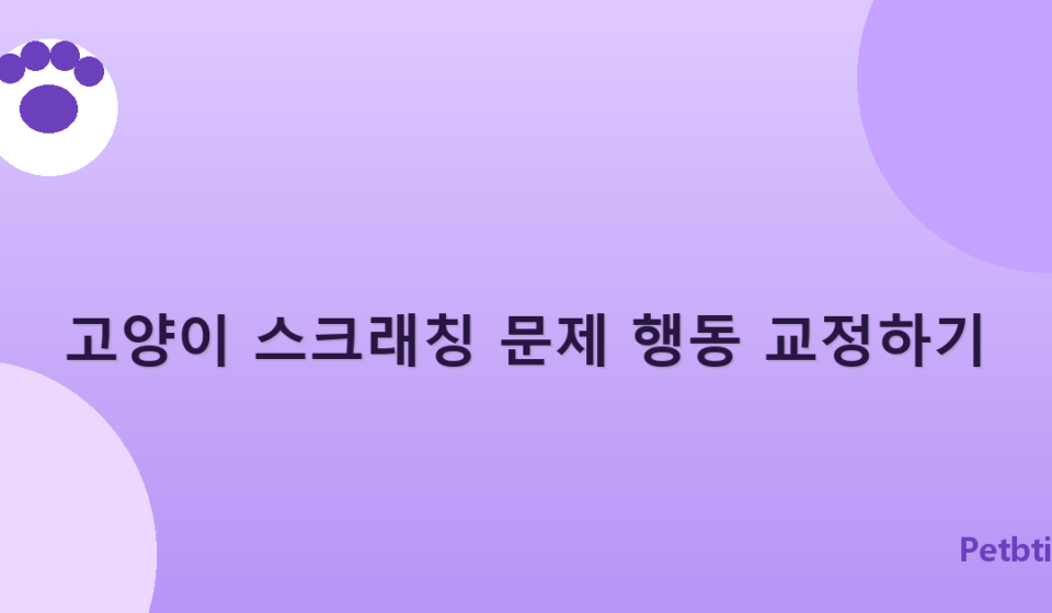 고양이 스크래칭 문제 행동 교정하기