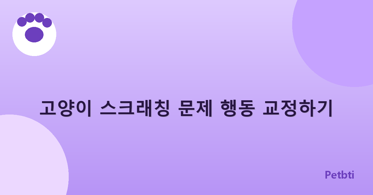 고양이 스크래칭 문제 행동 교정하기
